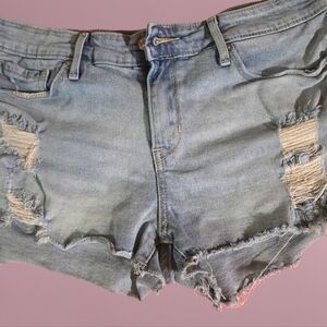 Denizen from Levi's Faded Blue Ripped Jean Shorts